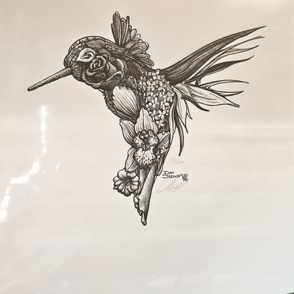 Don Stewart Hummingbird